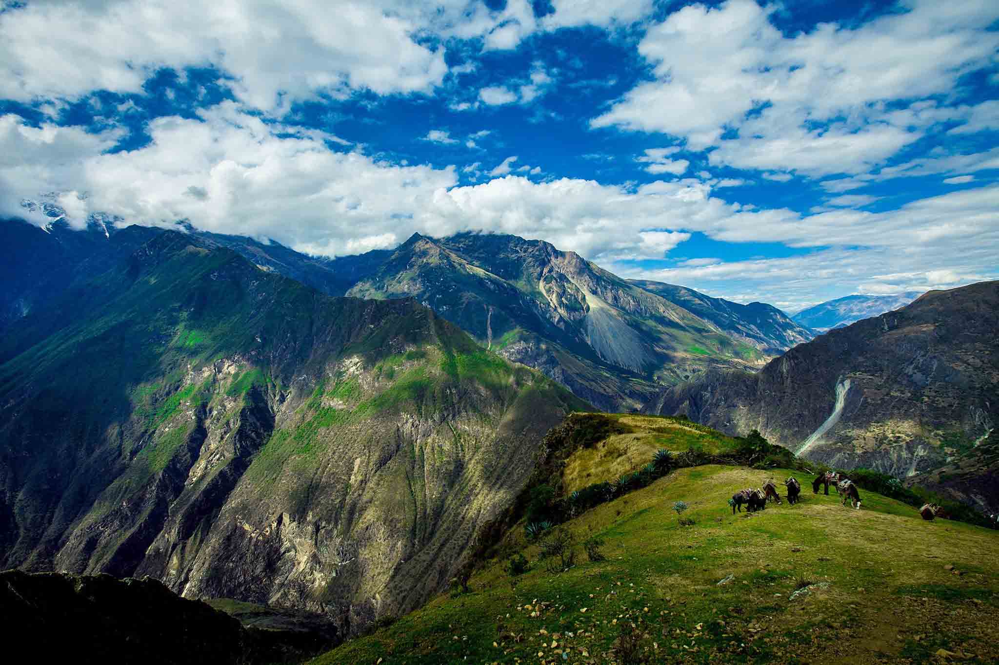 Day 1: Cusco – Capuliyoc – Chiquisca.